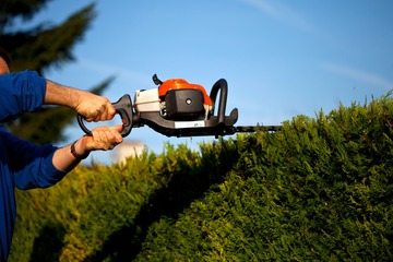 Comment bien tailler sa haie de sapins à Tournefeuille ? Comment bien tailler sa haie de sapins à Tournefeuille ?