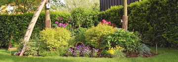 Jardin sec : comment l’entretenir ? Jardin sec : comment l’entretenir ?