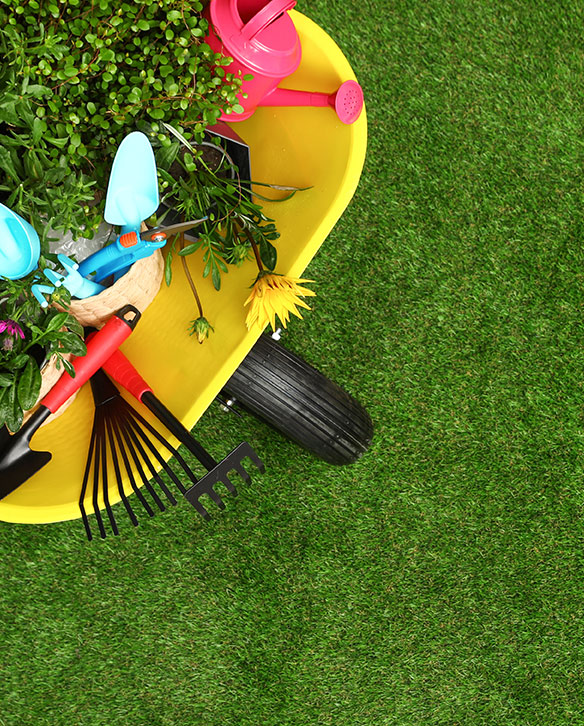 Création, aménagement, entretien de parcs & jardins aux alentours de Colomiers Création, aménagement, entretien de parcs & jardins aux alentours de Colomiers