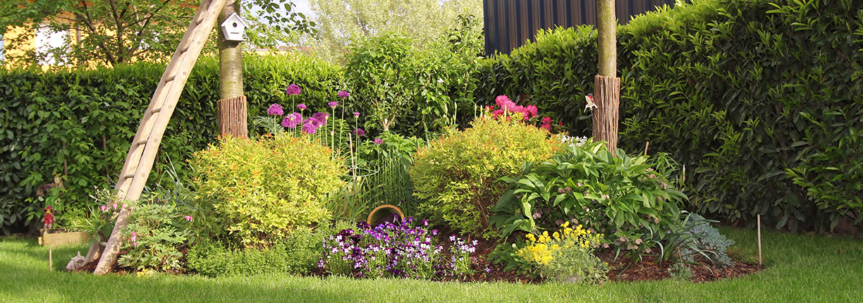 Jardin sec : comment l’entretenir ? Jardin sec : comment l’entretenir ?