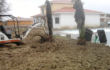Préparation des sols pour le semis du gazon