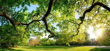 Réinventez votre jardin Création, aménagement, entretien de parcs & jardins