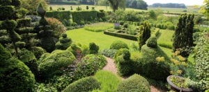 Elagage et taille des haies