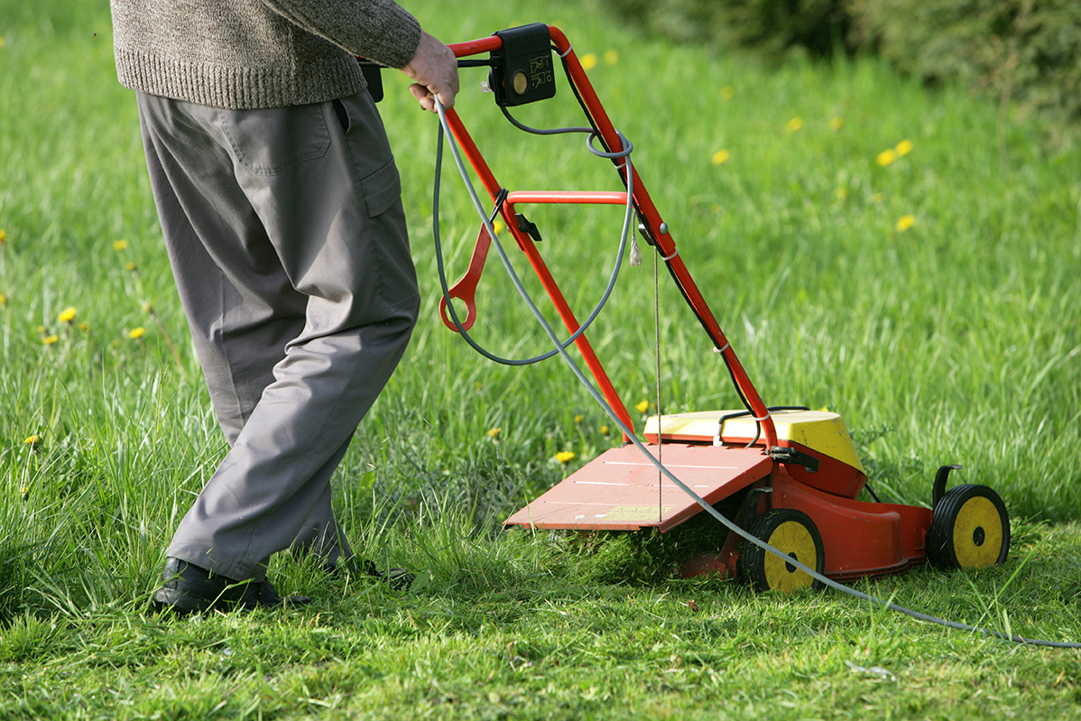 Entretien de jardins