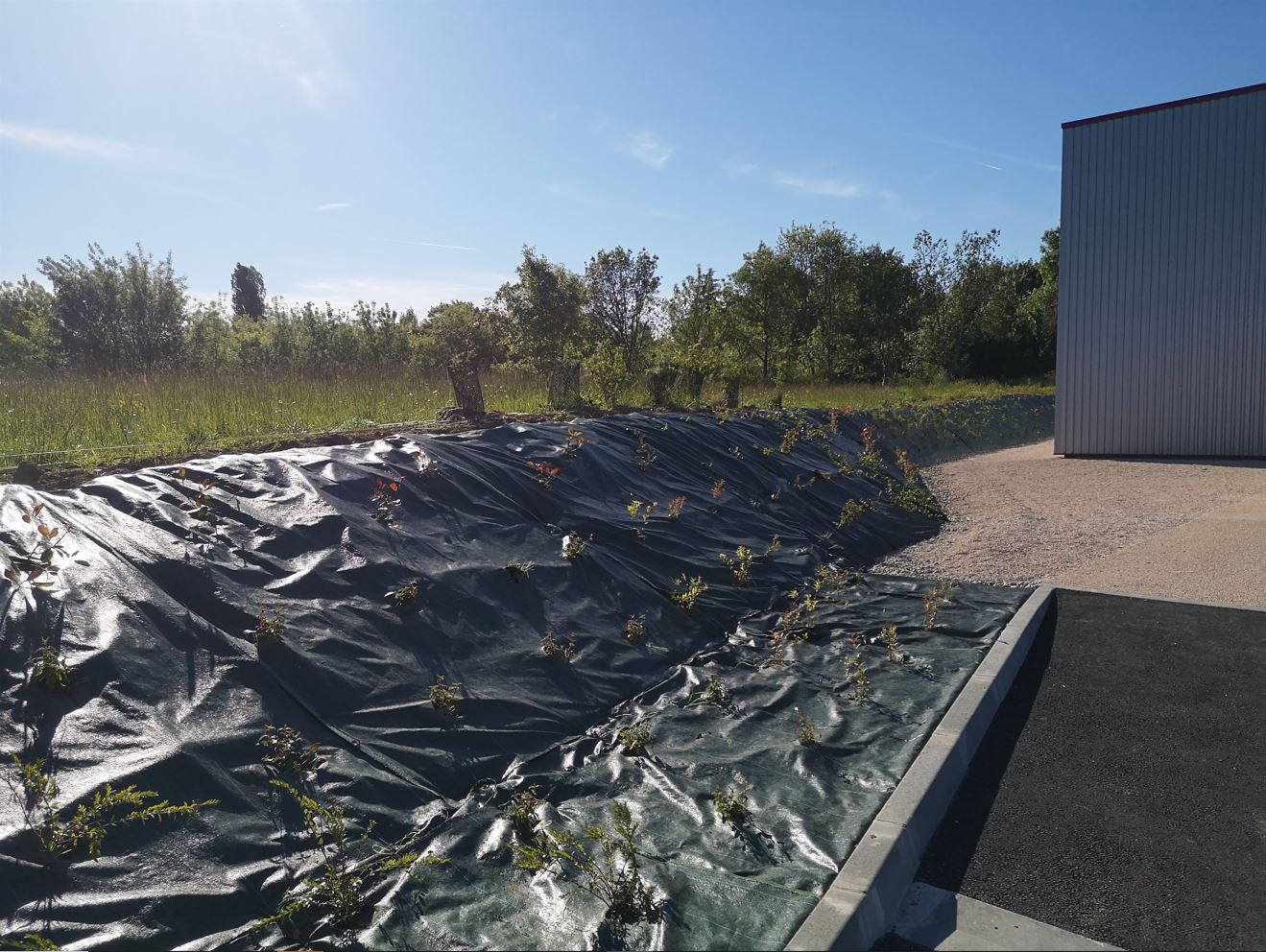 Arbor & Sens | Création d&rsquo;un espace vert pour une société à Pujaudran