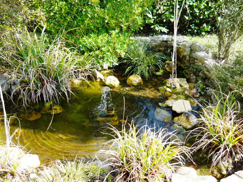 Création de bassin et aménagement extérieur