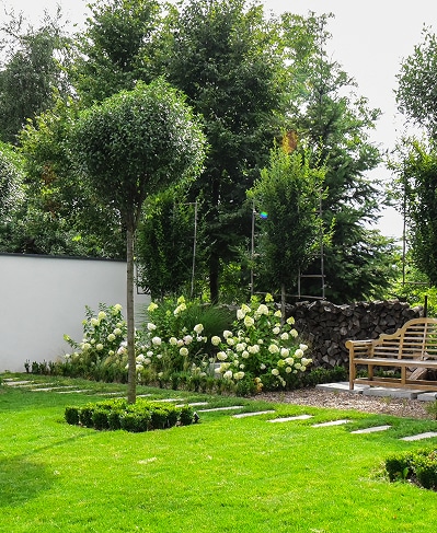 Jardin moderne et soigné avec un arbre topiaire central, une pelouse verte, une allée de pas japonais, des hortensias blancs et un banc en bois.
