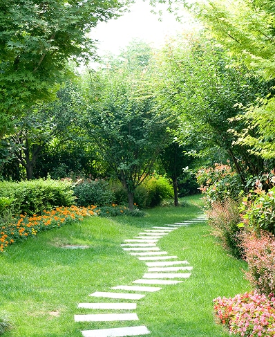 Sentier sinueux en pierres blanches dans un jardin luxuriant. Herbe verte, fleurs orange et buissons colorés encadrent l'allée.