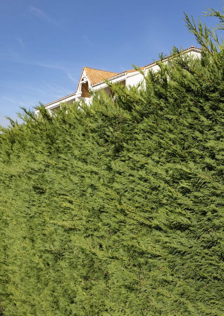 AdobeStock_1213116967 (1) (1)